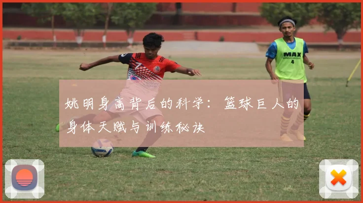 姚明身高背后的科学：篮球巨人的身体天赋与训练秘诀