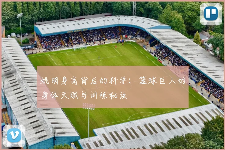 姚明身高背后的科学：篮球巨人的身体天赋与训练秘诀