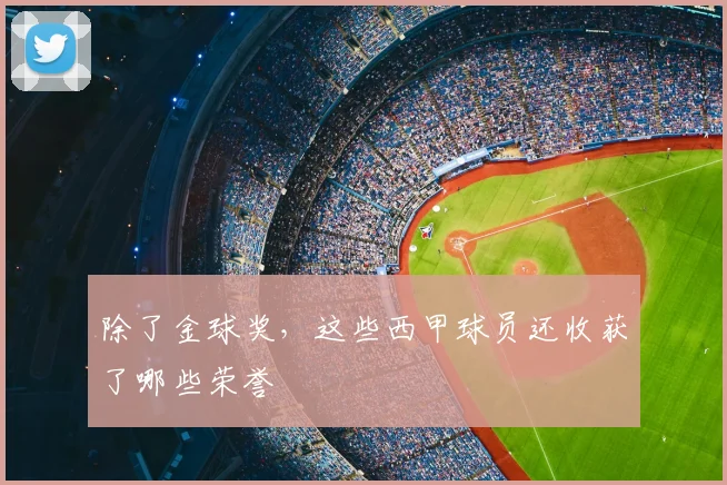 除了金球奖，这些西甲球员还收获了哪些荣誉